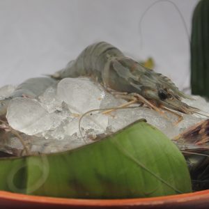 Bagda Chingri